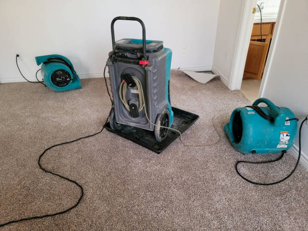 Best Professional water damage repair  in Martinsville, VA