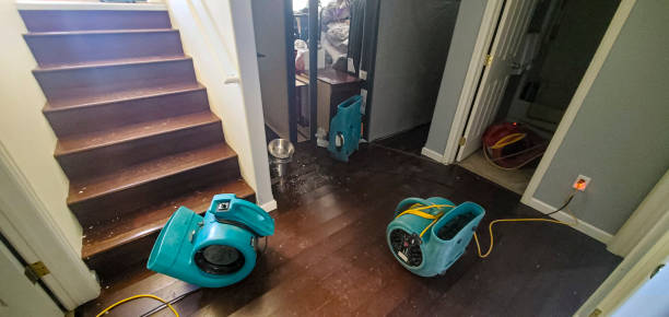 Best 24/7 water damage repair  in Martinsville, VA
