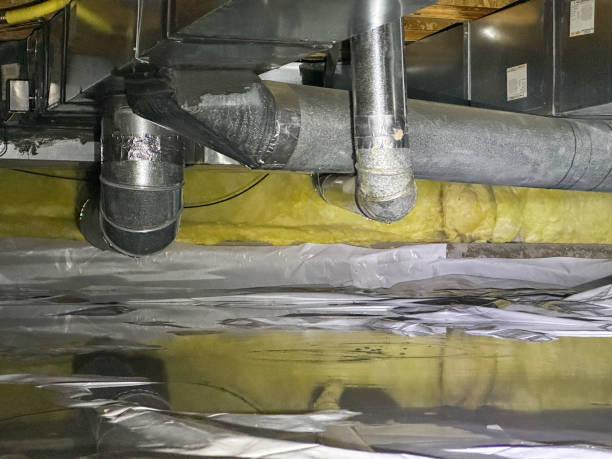 Best Local water damage restoration  in Martinsville, VA