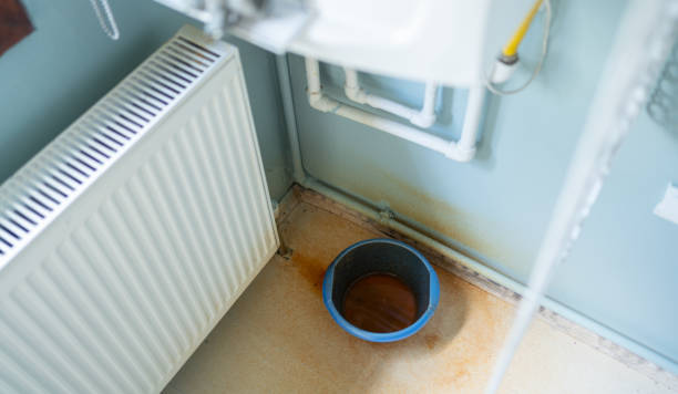 Best Local water damage restoration  in Martinsville, VA